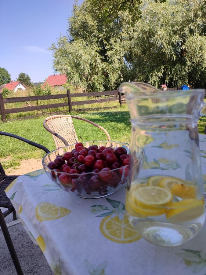 Chata Na Karpackiej Kostrzyca المظهر الخارجي الصورة